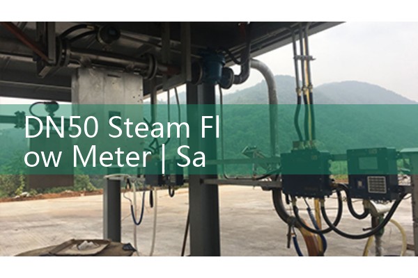 Dual channel ultrasonic flowmeter